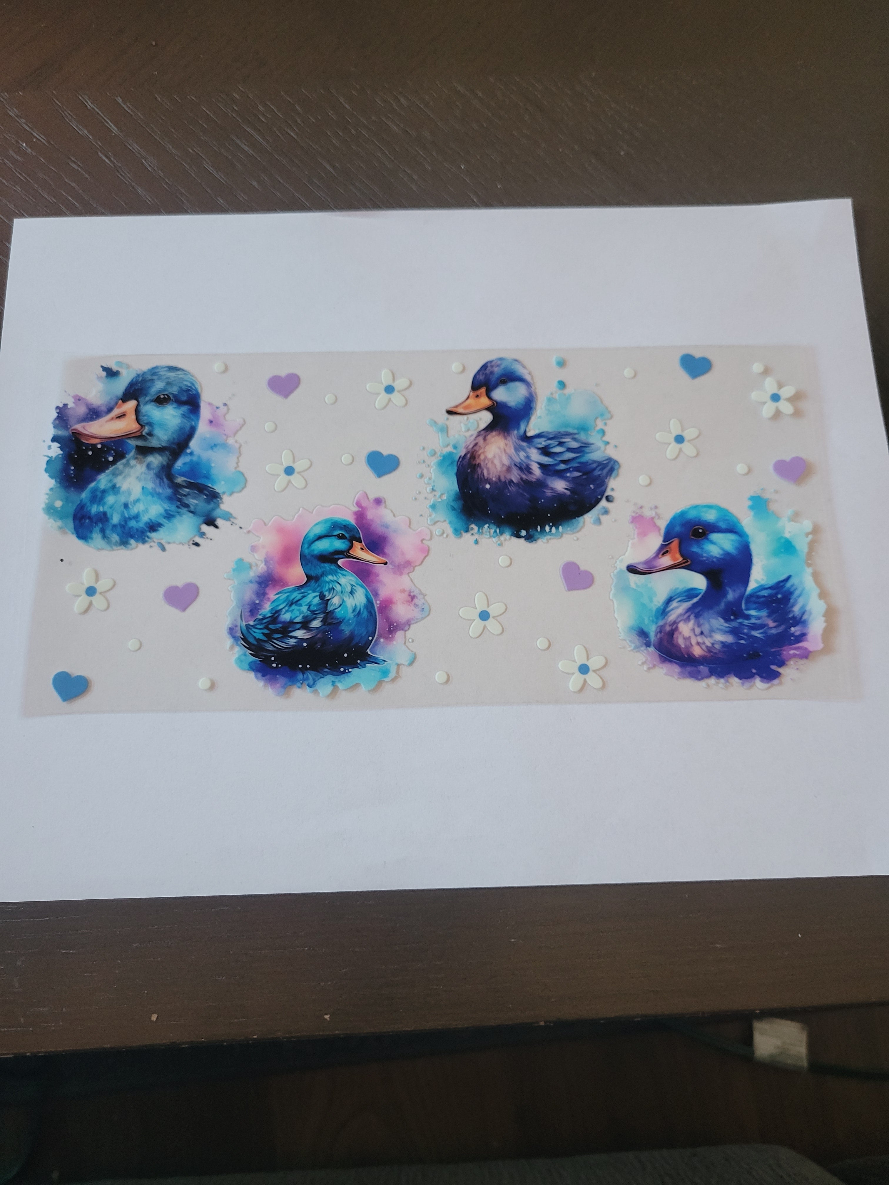 Duck