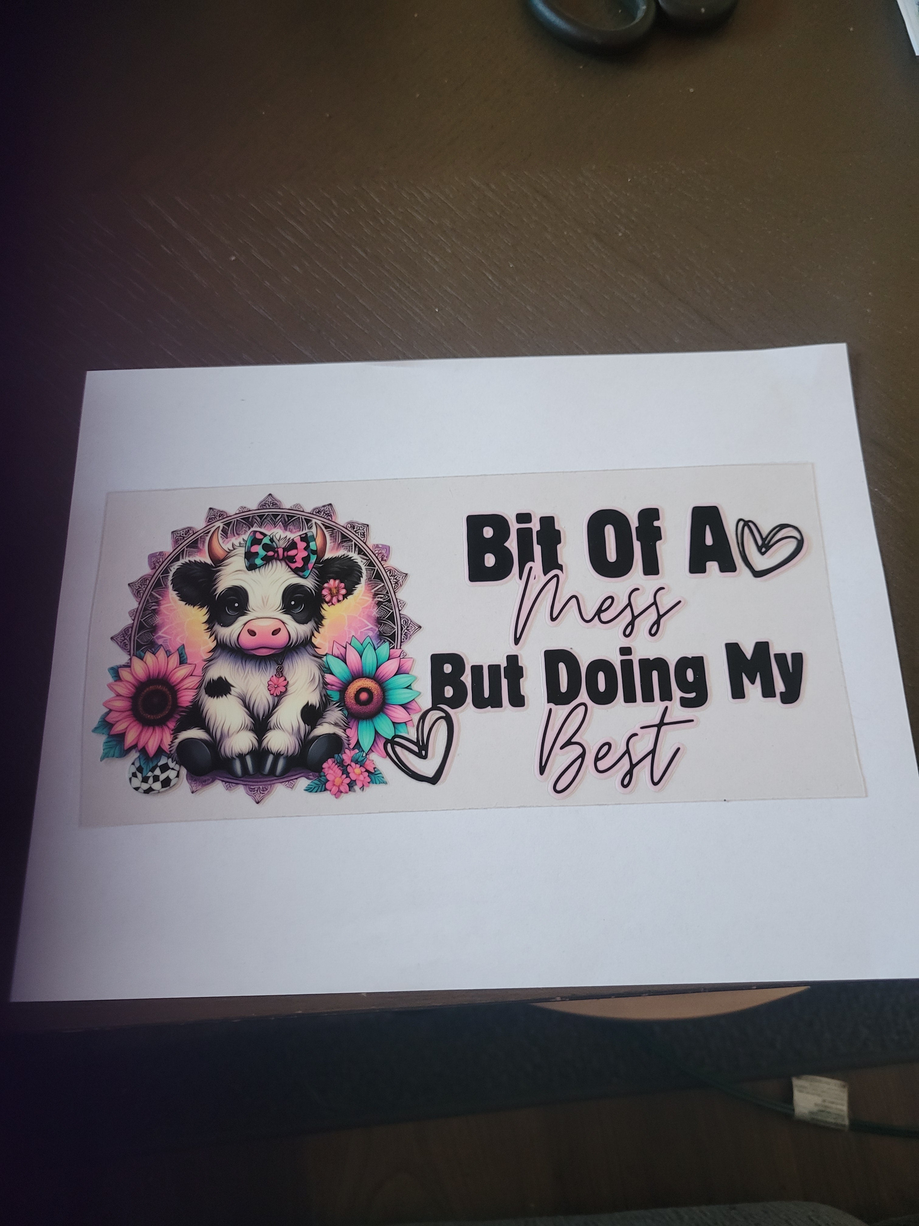 Cows